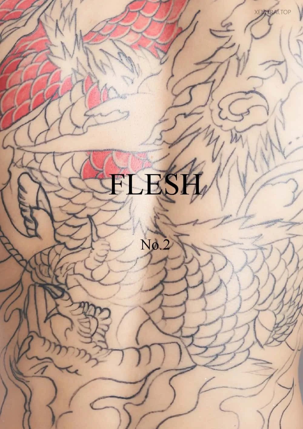 Flesh No.2[Photo+Video R+]-MANIMG